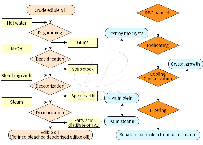 Palm oil refining and fractionation process