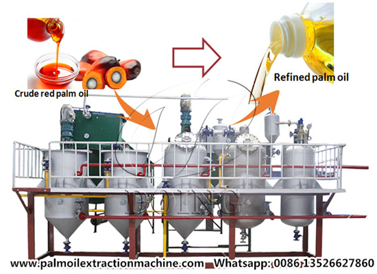 Where to know the details of palm oil refining?