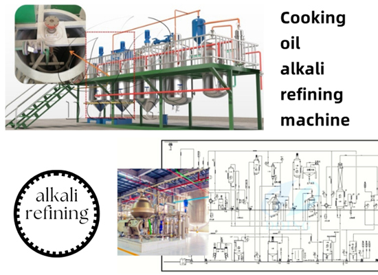Affecting factors of cooking oil alkali refining