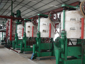 Sunflower Seed Pretreatment