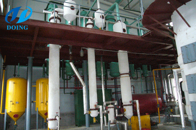 peanut oil plant