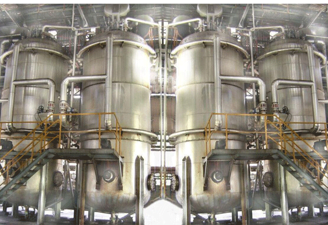 palm oil extraction