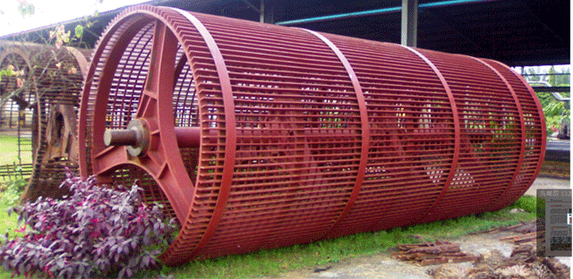 palm oil extraction