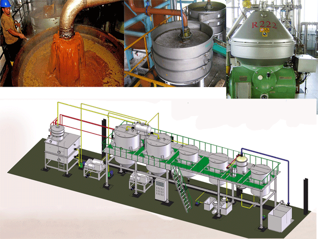 palm oil extraction