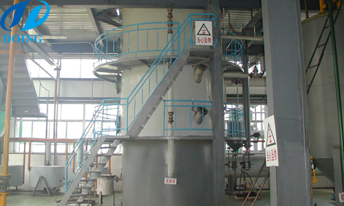 palm oil plant