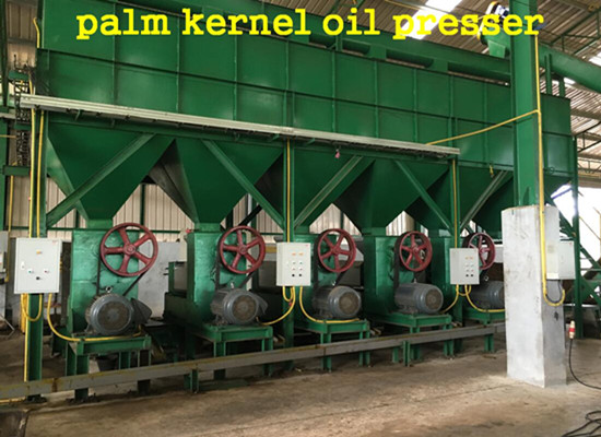 palm kernel oil expeller 