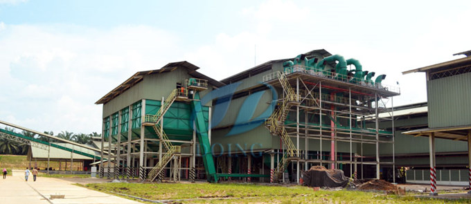 palm kernel oil plant 