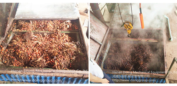 palm oil processing plant