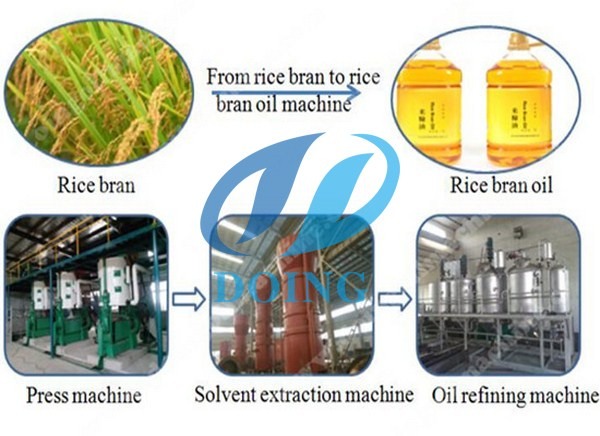 rice bran oil production process