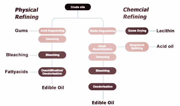 vegetable oil refining process