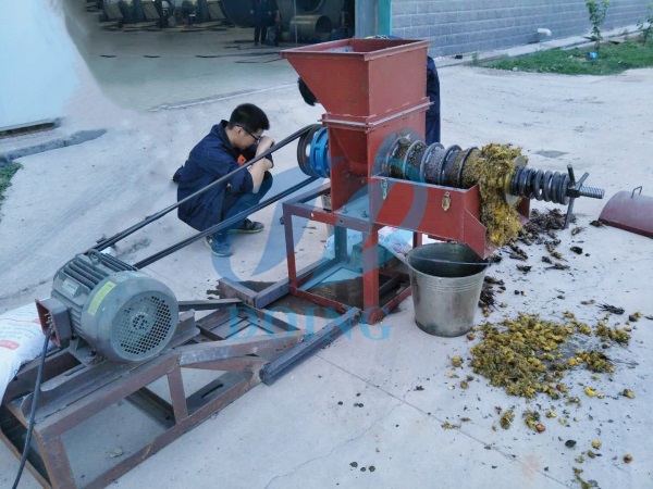 palm oil extraction machine for home use