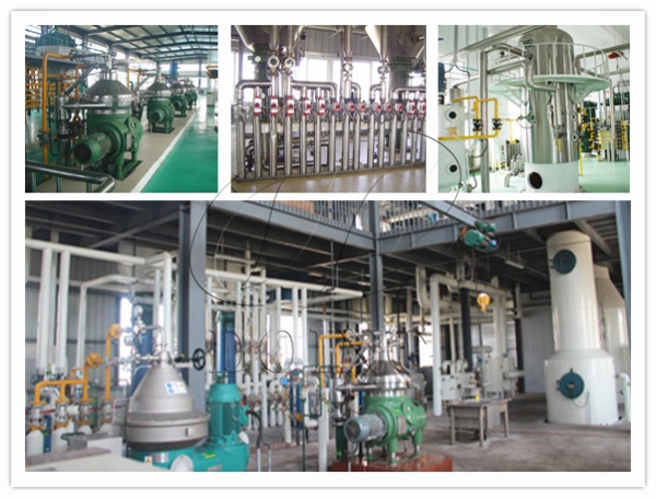 edible oil refinery plant