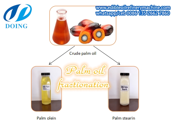 Processing of palm oil, palm kernel oil and fractionation process.