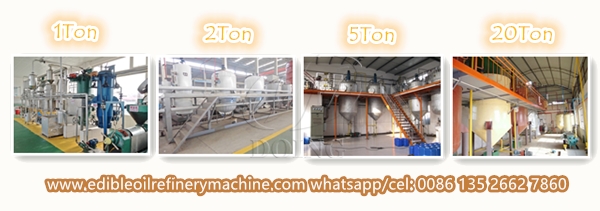 rice bran oil refinery plant