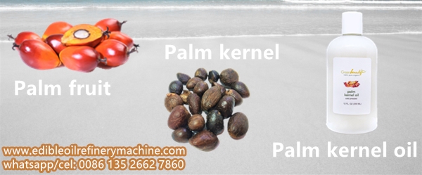 palm kernel oil