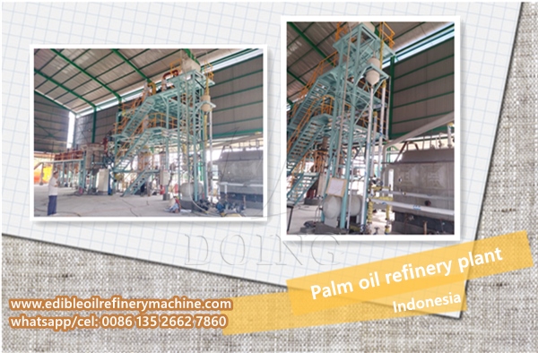 palm oil refinery plant