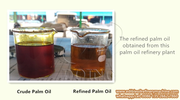 refined palm oil