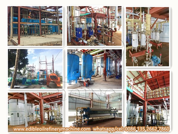 edible oil refinery plant