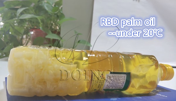 rbd palm oil