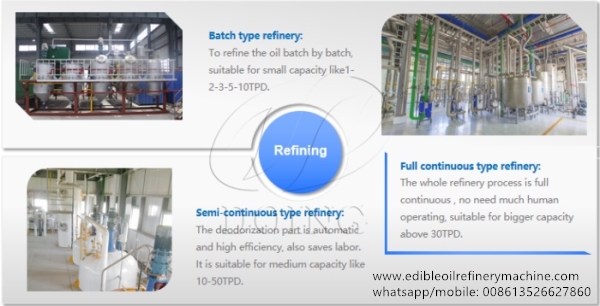 edible oil refinery plant