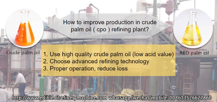 palm oil refining plant