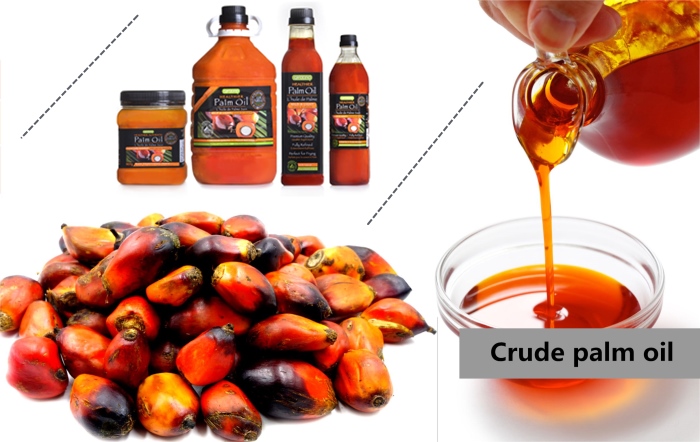 crude palm oil