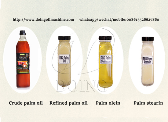 Introduction of palm oil refining process - physical & chemical
