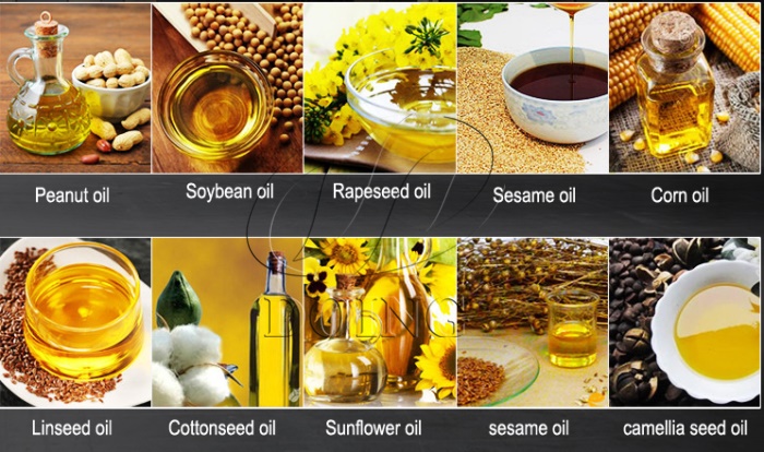 edible oil 